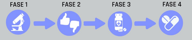 Fases del ensayo clínico