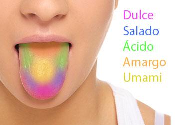 Sabores lengua
