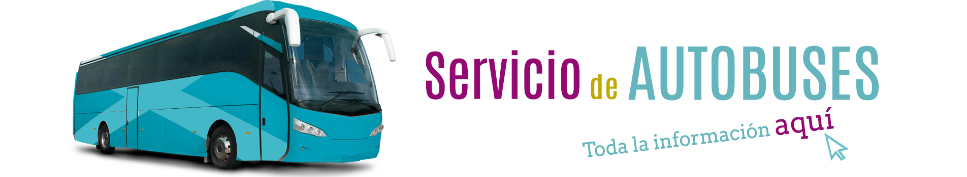 SERVICIO DE AUTOBUSES
