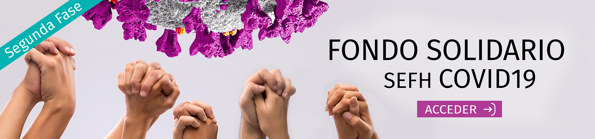Fondo Solidario SEFH - COVID19