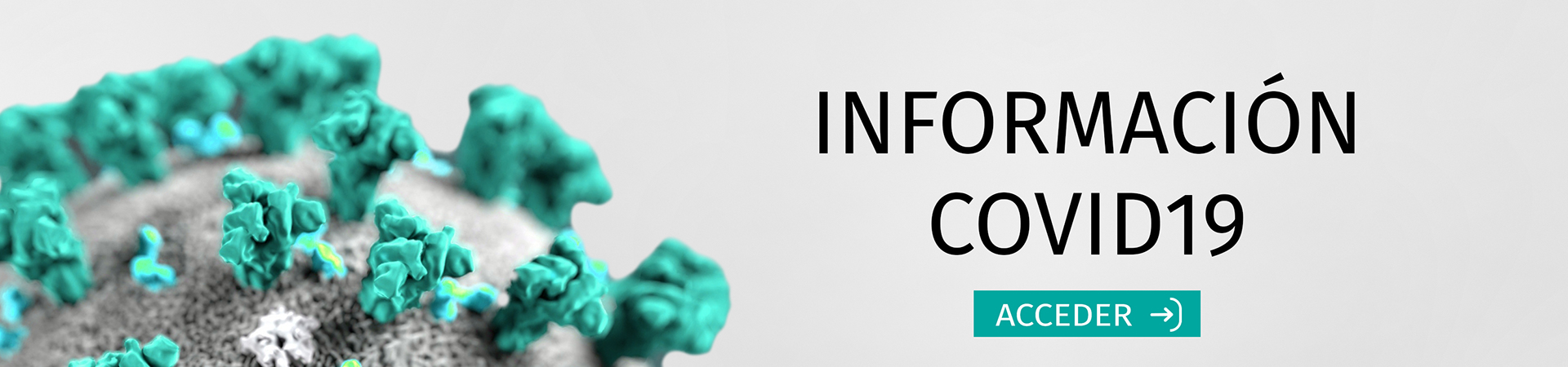 Información COVID19